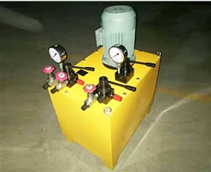 南京非标电动泵生产